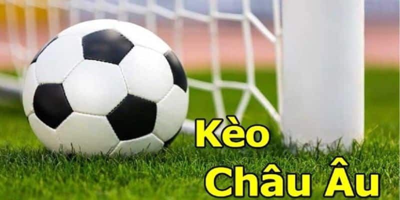 Sân chơi cá độ SHBET đẳng cấp hàng đầu thị trường